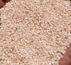 White Sesame Seeds – product photo 1, product detail gallery